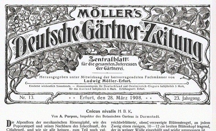 Gärtnerei Staehle - Grünes seit 1903